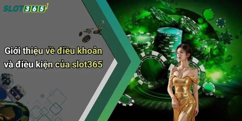 Giới thiệu về điều khoản và điều kiện của slot365