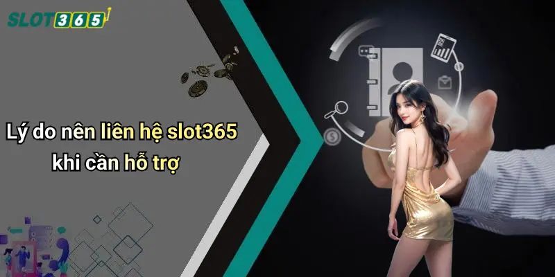 Lý do nên liên hệ slot365 khi cần hỗ trợ